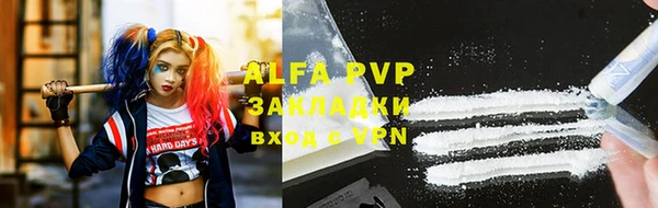 индика Балахна