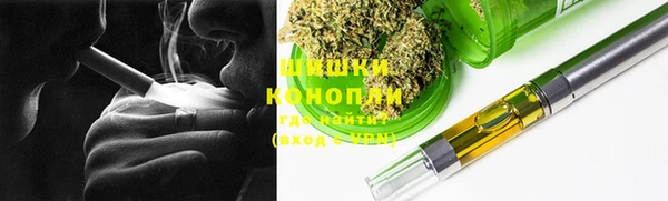 прущие грибы Армянск