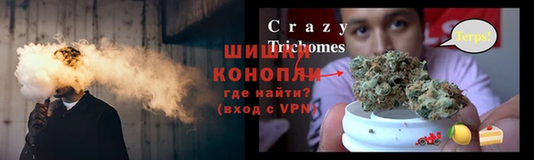 прущие грибы Армянск