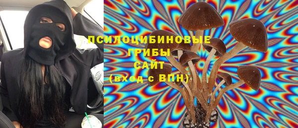 мет Аркадак