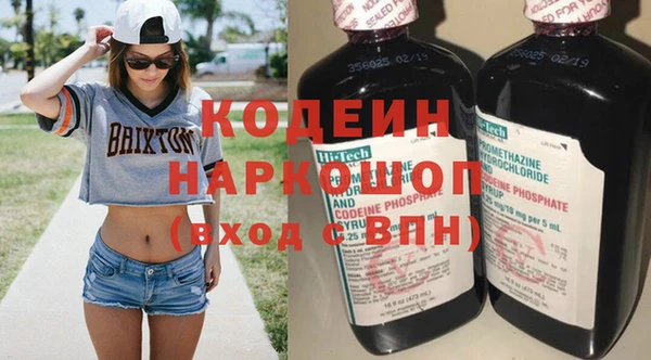 индика Балахна