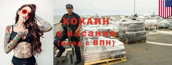 индика Балахна