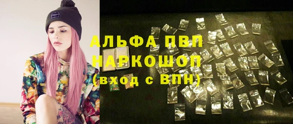 прущие грибы Армянск